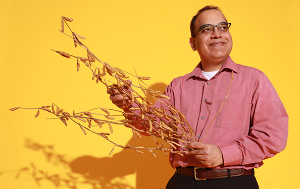 Asheesh Singh holds dried plant in front of a gold background
